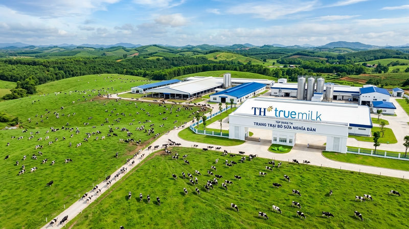Tổng quan về tập đoàn TH và thương hiệu TH True Milk